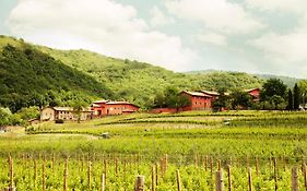 Agriturismo l'Uva e le Stelle